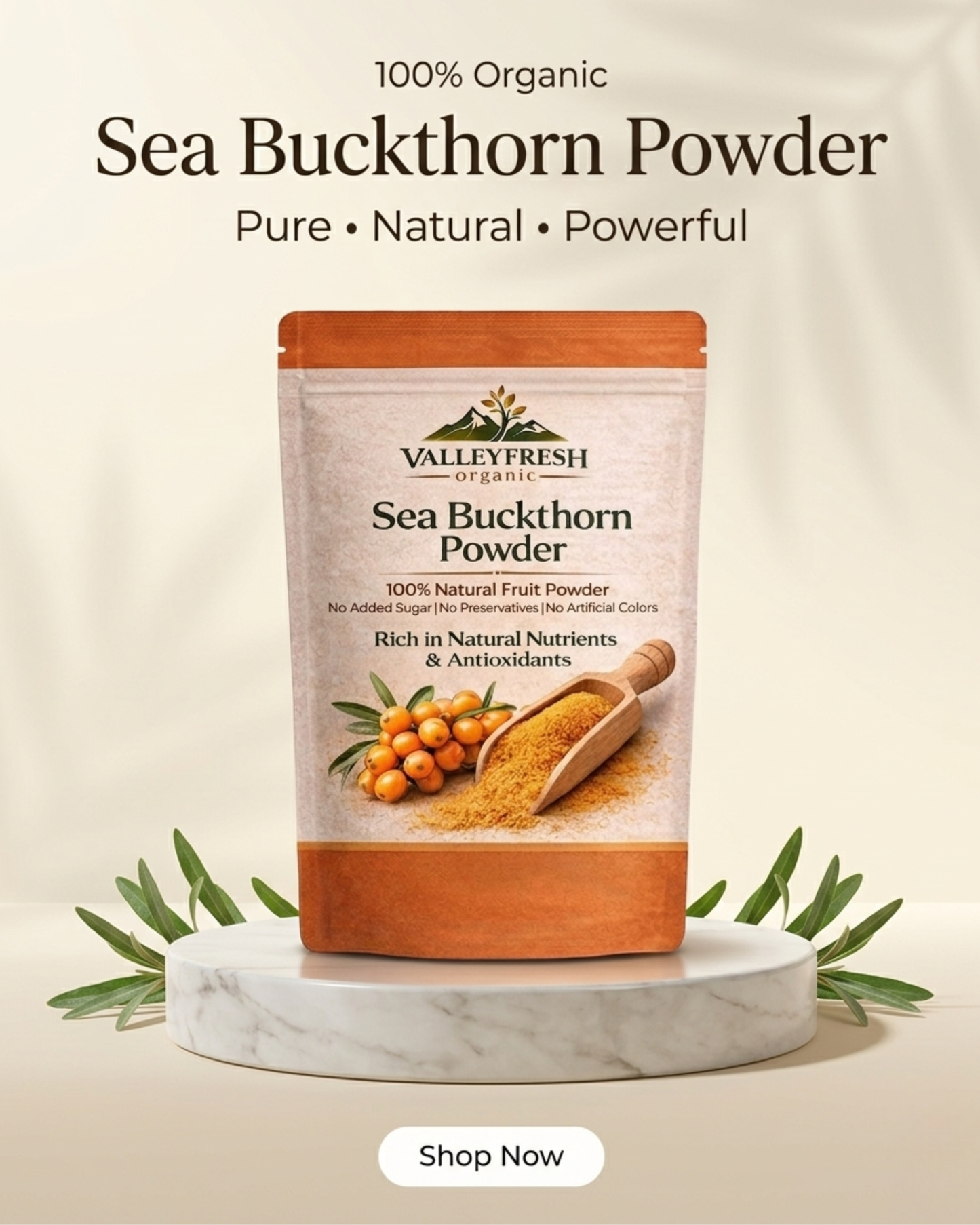 Sea Buckthorn Powder (100% Pure) | ValleyFresh Organic